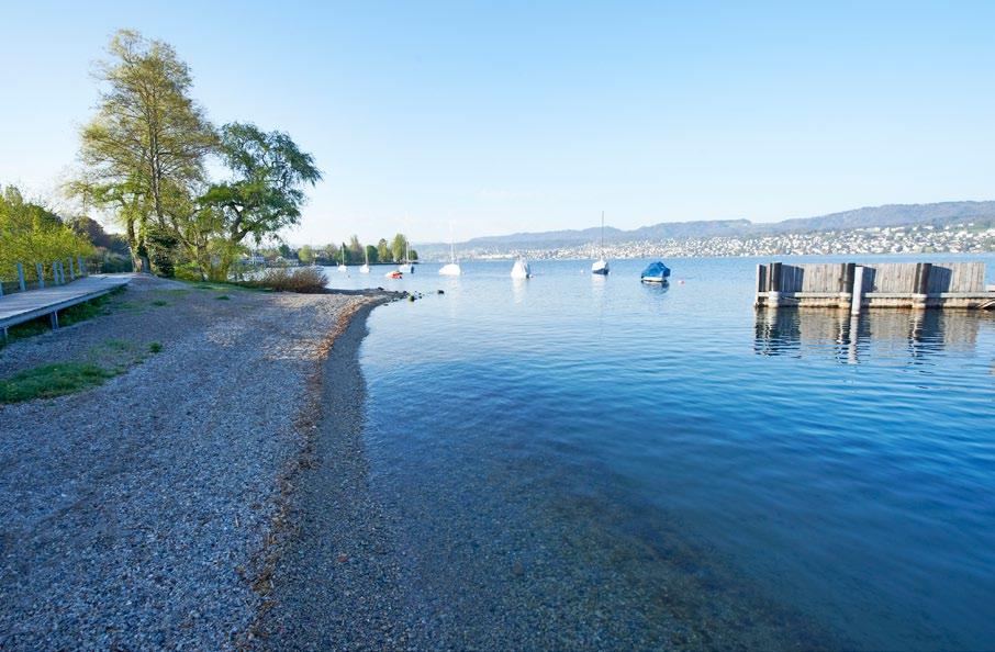 GOLDKÜSTE Küsnacht gehört zu den Top Five am rechten Zürichsee - ufer