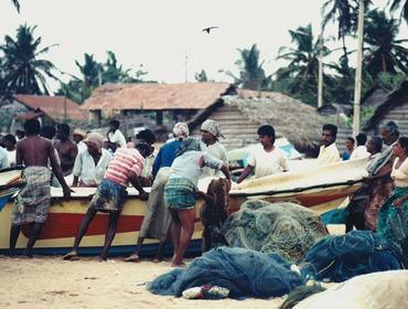 Die Stadt, etwas nördlich von Colombo gelegen, hat eine interessante Geschichte. Negombo gehörte zu Anfang des 16. Jhd. zu den ersten von den portugiesischen Kolonisatoren übernommenen Gebieten.