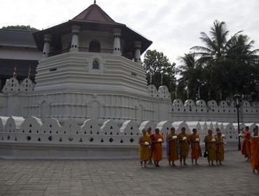 8. Tag: Exotische Gewürze und religiöse Bräuche Am Nachmittag fahren Sie nach Kandy, kulturelle Hauptstadt der Insel und mit etwa 100.000 Einwohnern die größte Stadt im zentralen Hochland.