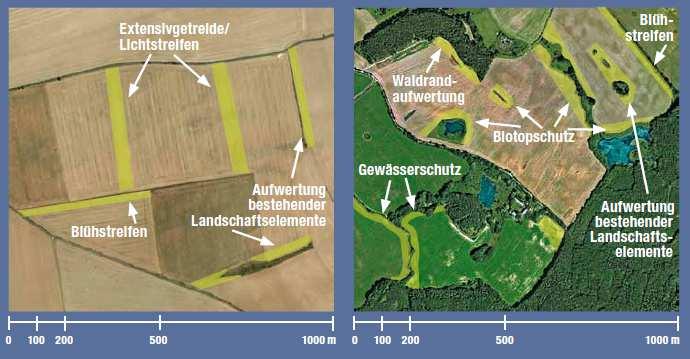 Perspektiven der Weiterentwicklung Aufwertung Agrarlandschaft Landschafts-spezifisch