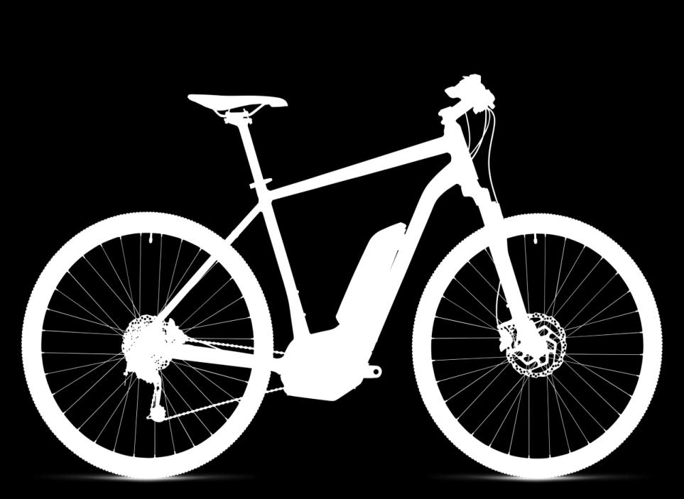 54cm,58cm* Cube Delhi Pro E-Bike: