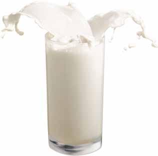 Laktose-intoleranten Menschen fehlt das Enzym Laktase, das für den Abbau von Laktose zuständig ist, deshalb müssen sie den Konsum von Milch reduzieren.
