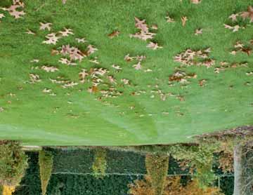 Anzeigensonderveröffentlichung Angepasste Herbstdüngung bringt den Rasen optimal durch die kalte Jahreszeit Rückenschonendes Werkeln in praktischen Hochbeet-Gewächshäusern (epr).
