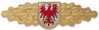 000 Aktive der Feuerwehr kann jährlich ein Brandenburger Feuerwehr-Ehrenkreuz in Bronze verliehen werden. Beim Brandenburger Feuerwehr-Ehrenkreuz in Silber kann jährlich auf je 1.