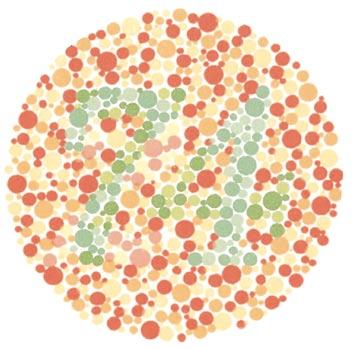 .2 Sehen 233 lang gesehen haben, normal erscheint wird als monochromatisch (eine Farbe) oder als dichromatisch bezeichnet, d. h. sie erkennen nur 2 der 3 Grundfarben, und es ist ihnen nicht möglich, zwischen dem Rot und dem Grün in.