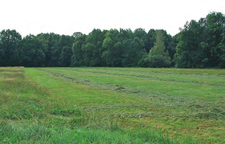 23 Staffelmahd Warum Im herkömmlichen Sinn wird bei der Staffelmahd eine Grünlandfläche in Teilabschnitten von etwa je 2 ha im Abstand von etwa 14 Tagen gemäht.