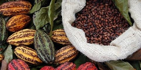 WARENBEWERTUNG Aufgabe 8: Bewertung nach dem gleitenden Durchschnittspreisverfahren Die Morakora AG kauft Kakaobohnen in Säcken zu 50 kg aus Afrika und Südamerika über einen österreichischen