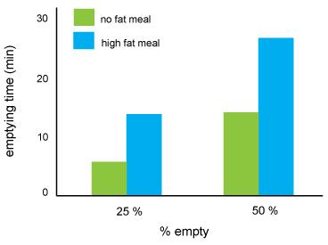 Abb 2. Der Einfluß von Fett auf die Entleerungszeit des Magens bei geringem (25%) und mittlerem (50%) Füllungszustand Abb 3. Entleerung des Magens nach einem normalen Essen.
