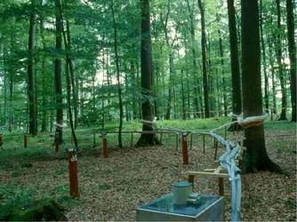 NW-FVA - Organisation Nordwestdeutsche Forstliche Versuchsanstalt Umweltkontrolle Zentrale Stelle Koordination, Projekte,