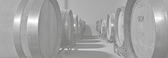 ROTWEIN CABERNET DORSA Neu gezüchtete Rebsorte mit enormer Farbintensität, wunderbaren Fruchtaromen und großer Nachhaltigkeit. Ein Wein von internationalem Format.