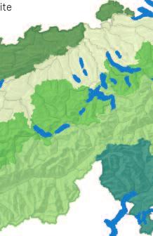 Wie ist der Schweizer Wald beschaffen und wie verändert er sich mit der Zeit? Antwort auf diese Fragen gibt das Schwei - zerische Landesforstinventar (LFI).