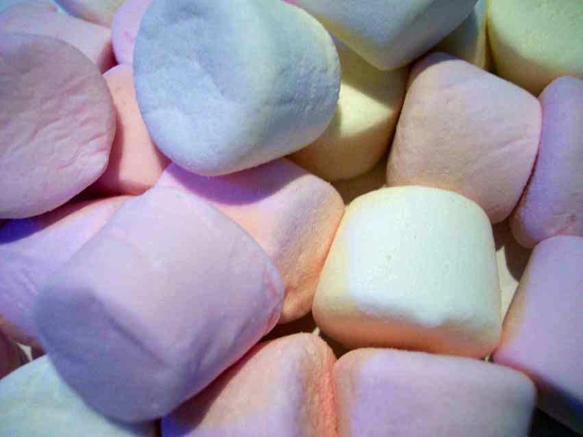 Der Marshmallow Test mit 4 - jährigen http://commons.wikimedia.