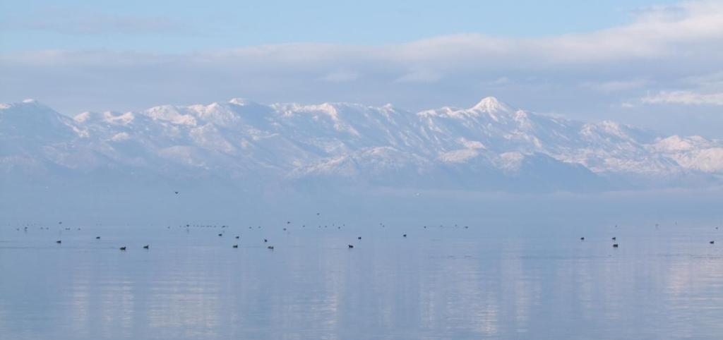 Abb. 7 und 8: Taucher und andere Wasservögel, hinter dem Dorf Grilë nördlich Skoder (oben) und das verreiste montenegrinische Reservat Pančeva oka mit der Bucht von Hum vom albanischen Hügel Bajze