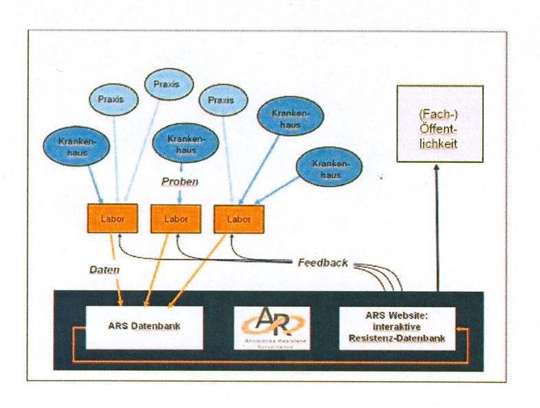 Struktur des ARS-Netzwerkes 7 11. September 2013 Dr.