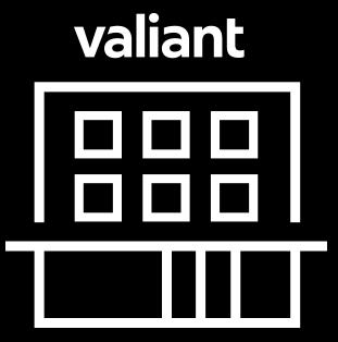 4% Geschäftsstellen Valiant (11 Kantone) Geschäftsstellen Triba (Kanton Luzern) Erfolgreiches Kaufangebot: Valiant besitzt 97% der Aktien Fair value bei CHF 80 Mio.