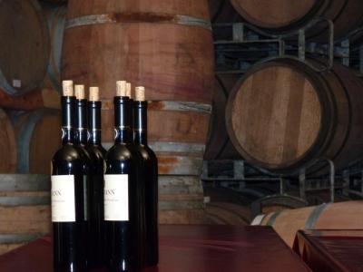 Kurzbeschreibung Weingut Qualität auf höchstem Niveau Das seit 1923 existierte Weingut verbindet Innovation und Tradition.