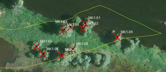 fällenden Bäume werden im Zuge des Planfeststellungsverfahrens kartiert und artenschutzfachlich untersucht. Abbildung 4.12: Baumfällungen in Bereich der Altarmöffnung Qu_AaN_04_04 Abbildung 4.