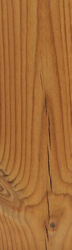 ÄSTE, MASERUNG Je nach Holzart, Herkunft und wachstumsbedingten Einflüssen kann die Anzahl und Größe der Äste variieren. Gesunde Äste geben dem Holz ein lebendiges, individuelles Erscheinungsbild.