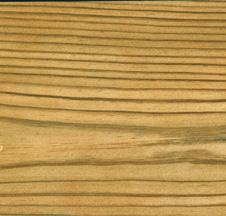 Ipe Sibirische Lärche Thermoholz Esche Thermoholz Kiefer Südamerika Osteuropa Mitteleuropa Skandinavien > sehr dauerhaftes Holz > für Erdverbau und Wasserbau geeignet > sehr hohe Beständigkeit gegen