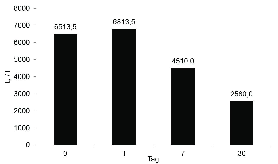 Ergebnisse Abbildung 5: Arithmetische Mittelwerte ( ) der Aktivität der Alkalischen Phosphatase in der ersten Ejakulatfraktion beim Rüden zu dem jeweiligen Untersuchungszeitpunkt.