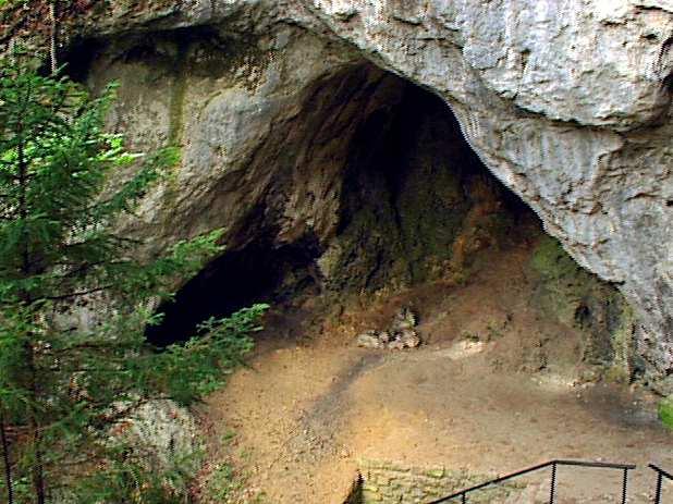 Nach vielen Jahrtausenden der Kalklösung wird die Höhlendecke so dünn, dass sie einbricht: Es entsteht eine Doline.