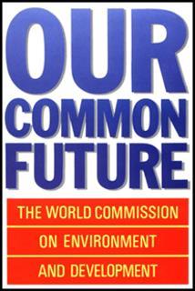 Begriffsverwendung «Nachhaltigkeit» > Definition «nachhaltige Entwicklung» Brundtland-Bericht, 1987: «Dauerhafte Entwicklung ist Entwicklung, die die Bedürfnisse der Gegenwart befriedigt, ohne zu