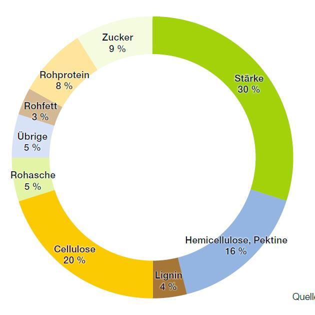 Prozentuale Nährstoffaufteilung der ausgereiften Maispflanze Die ausgereifte Maispflanze lässt sich in Kolben und Restpflanze einteilen Die Restpflanze weist zum Zeitpunkt der Siloreife eine eher