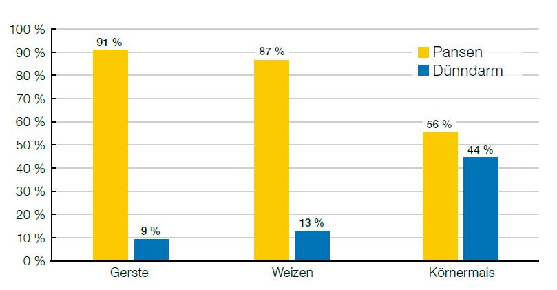 Vergleich der Abbaubarkeit von Stärke in