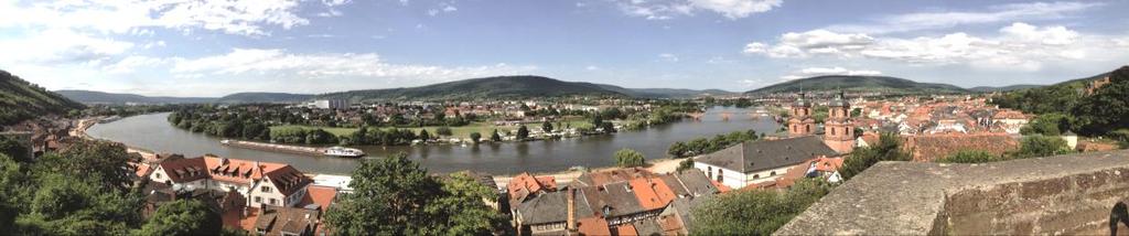 Inhalt Vorstellung des Landkreises Miltenberg Tourismusstrukturen Touristische Alleinstellungsmerkmale o Weinbau o Main o Fernradwege und Wandern Bedeutung des Tourismus für unsere Region o o Themen-