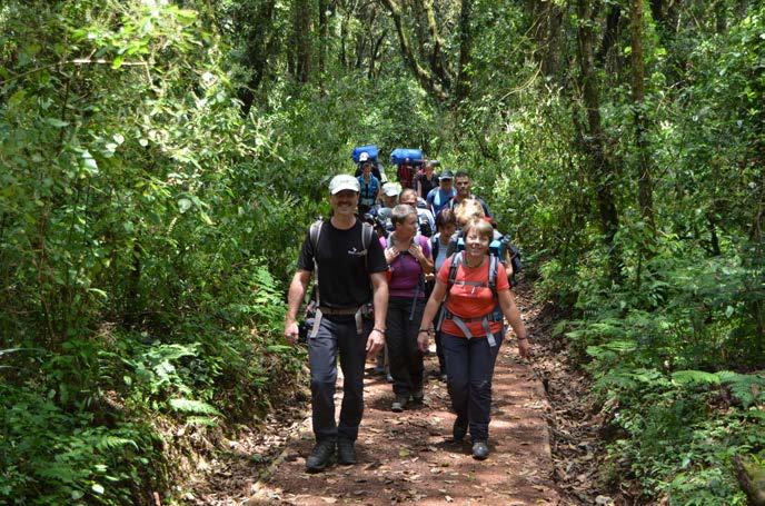 Der Abstieg erfolgt über die Mweka-Route. Die Natur und Kultur wird Sie ebenso begeistern wie die Gastfreundschaft der am Fuße des Kilimanjaro lebenden Chaggas.
