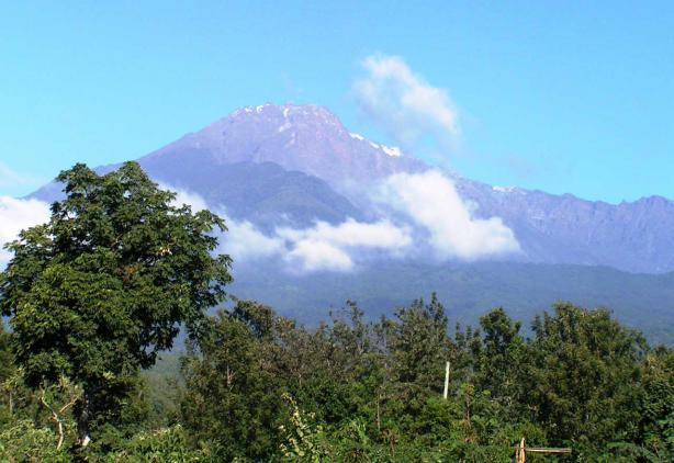 Der Weg führt durch eine faszinierende Landschaft aus Savanne und Bergwald. Hier sehen Sie noch viele Tiere. Von der Hütte aus hat man bei gutem Wetter einen herrlichen Blick auf den Kilimanjaro.