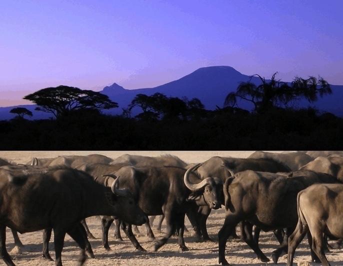 Mt. Kenia & Safari & Kilimandscharo Die zwei höchsten Berge Afrikas (19 Tage, Kenia & Tansania) Mount Kenia & Kilimandscharo