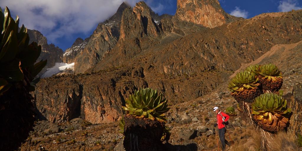 Die Tagesetappen betragen am Mount Kenia 3-5 Stunden, bei der Point Lenana Überschreitung 6-8 Stunden.