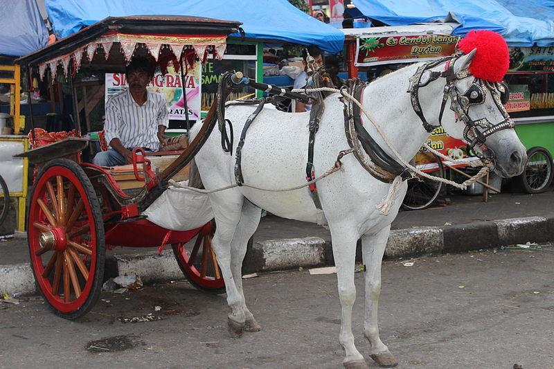 9 Dies hier sind Sammeltaxis, wie sie in Indonesien unterwegs sind. Sie heissen Bendi und haben harte Bänke und ungefederte Holzräder.