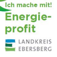 Potenzialanalyse Einsparung & Effizienz Best-Practice-Beispiele: energetische Sanierung zahlreicher Liegenschaften Energieprofit-Projekt für