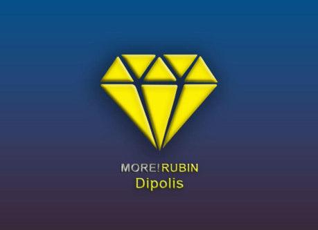 Handbuch DiPolis-App (Digitales-Politisches-Informationssystem) Ihr Kontakt zu more!