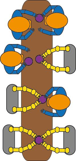 4 Einführung in die Thematik Kollaborative Roboter Möglichkeiten der