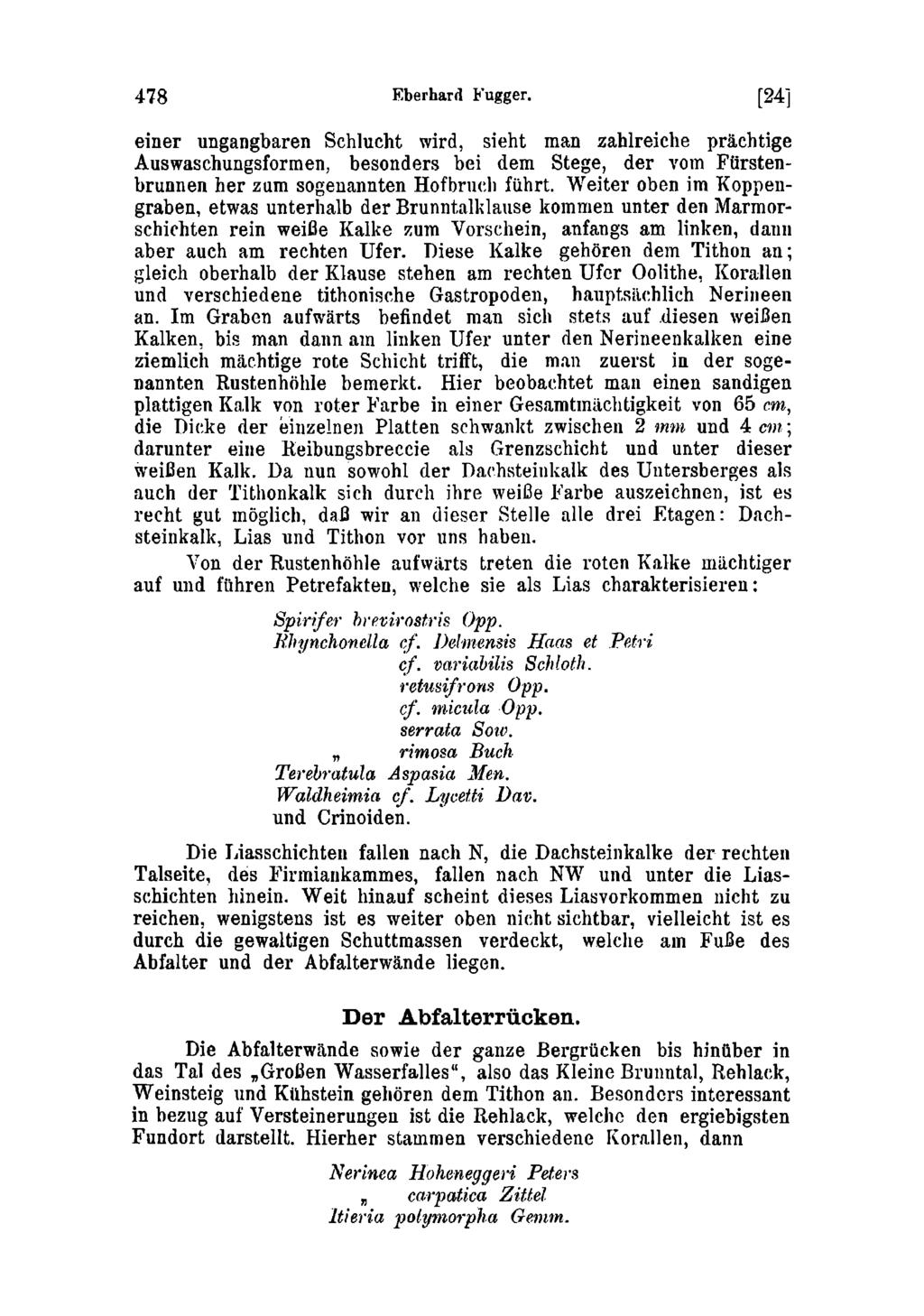 478 Eberhard Fugger. [24] einer ungangbaren Schlucht wird, sieht man zahlreiche prächtige Auswaschungsformen, besonders bei dem Stege, der vom Fürstenbrunnen her zum sogenannten Hofbruch führt.