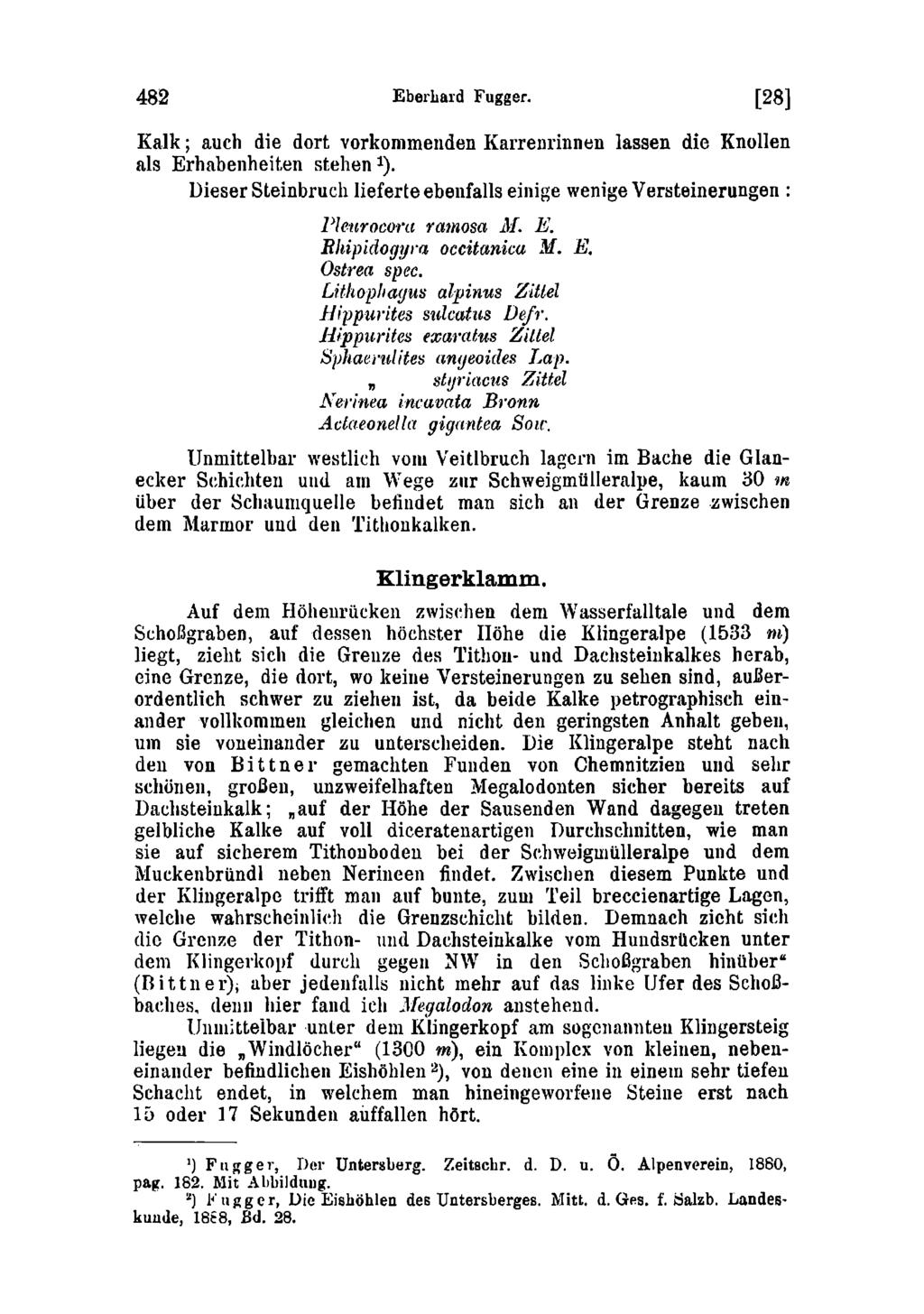 482 Eberhard Fugger. [28] Kalk; auch die dort vorkommenden Karrenrinnen lassen die Knollen als Erhabenheiten stehen 1 ).