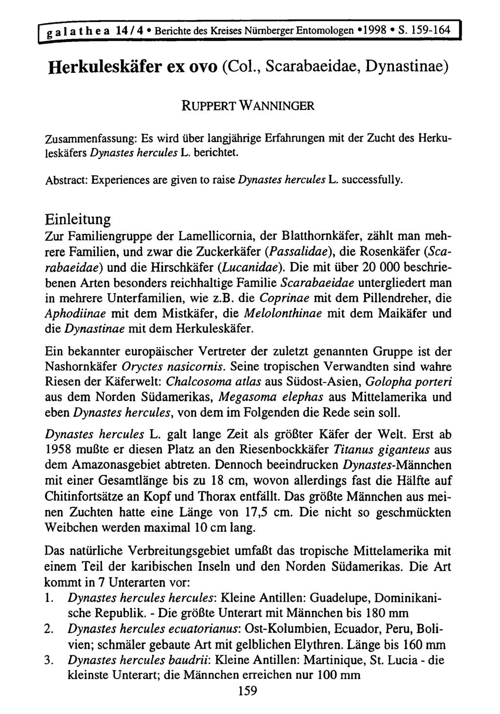 Kreis Nürnberger Entomologen; download unter www.biologiezentrum.at Qg^aJJiej^l4 4jJBerichte^de^(reises^Niimbei erento^ Herkuleskäfer ex ovo (Col.