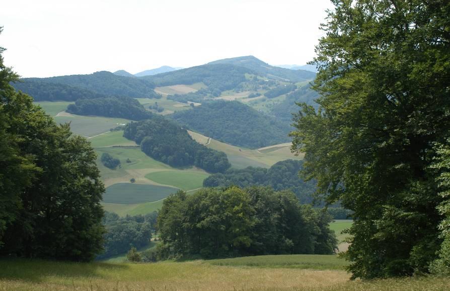 ein Raum mit: > hoher Entwicklungsdynamik > hoher Standortqualität