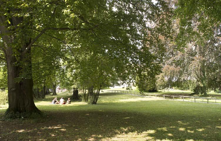 Abb. 69: Park mit seltenen Bäumen und ausgedehnten, im Inventar der Gartendenkmalpflege verzeichneten Grünflächen (Kernzone Parkring) Zusatzvorschriften Hohe Promenade (Art.