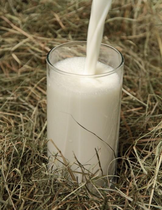 Gesamtbilanz Kraftfutterarme Milchviehhaltung kann ein wirtschaftlich tragfähiges System sein erfordert mehr als auf Kraftfutter zu verzichten: Neubewertung und langfristige Anpassung