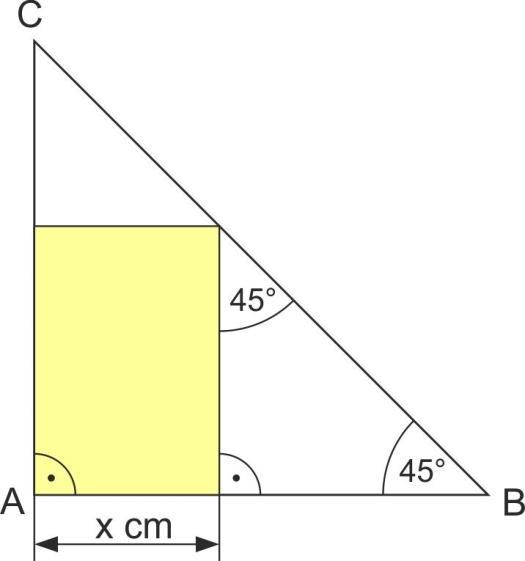 a) Bestimme den Flächeninhalt der Rechtecke in Abhängigkeit von x.