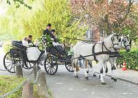 Dort gibt es aber nicht nur ehemals getragene Stücke manche Bräute geben sogar ungetragene, noch nagelneue Stücke vor der Hochzeit weg, weil sie sich verkauft und umentschieden haben. Damdam dadam 4.