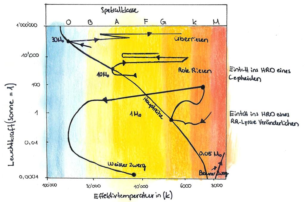 Abbildung 10: Lebenszyklus eines Sterns im HRD anhand seiner Initialmasse. 4..2.2 Kleiner Protostern Die untere Entstehungsgrenze für Sterne liegt bei ca. 0.