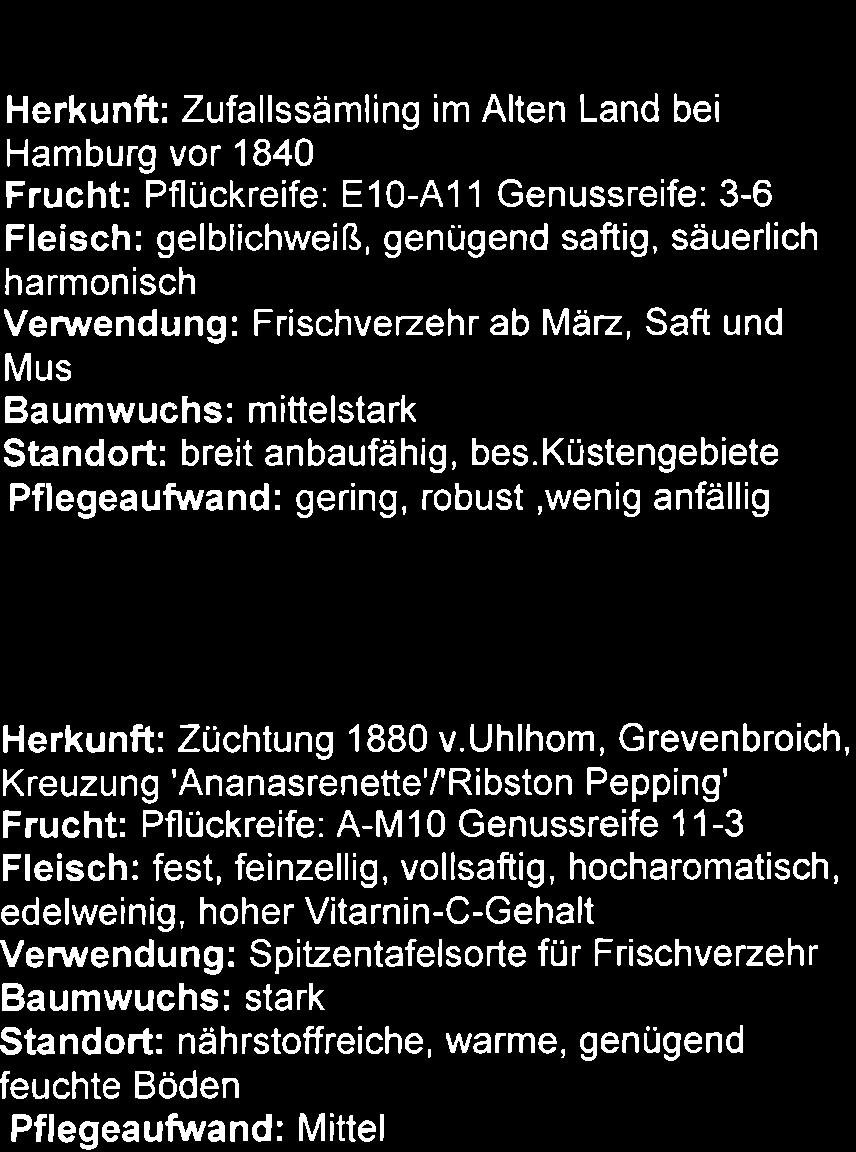 bes. Küstengebiete Pflegeaufwand: gering, robust,wenig anfällig Ananasrenette Herkunft: unsicher, vielleicht aus Holland, um 1820 im Rheinland verbreitet Frucht: Pflückreife: M-E 10 Genussreife: 11-2