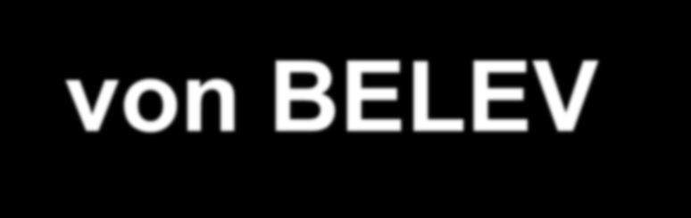 Inhalt und Ablauf von BELEV