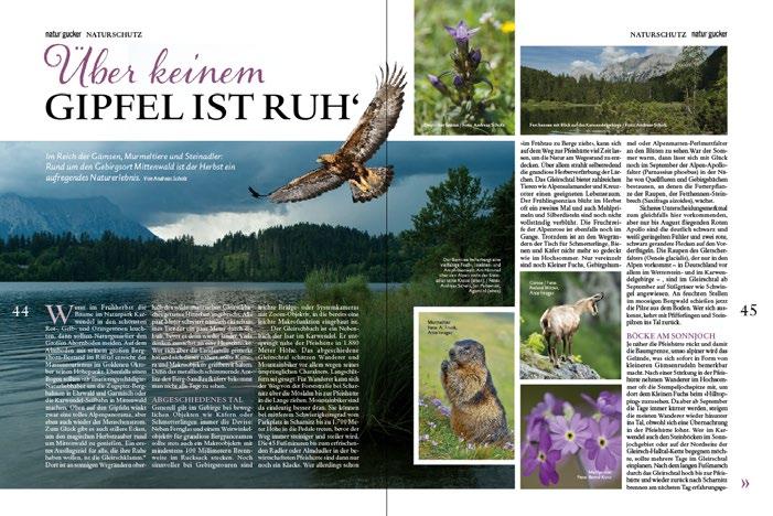 2. DAS MAGAZIN NATURGUCKER Im Juni 2012 ist naturgucker das Magazin zur Natur- und Vogelbeobachtung gestartet und hat seitdem bereits eine treue Leserschaft gewonnen.