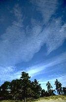 seidigen Glanz. Die deutsche Bezeichnung für die Cirrus-Wolke ist hohe Federwolke.